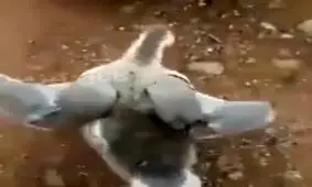 واریز عیدی آخر سال !!!