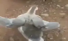 واریز عیدی آخر سال !!!