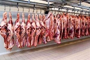 واردکنندگان عمداً ۱۷ هزار تن گوشت را دپو کردند