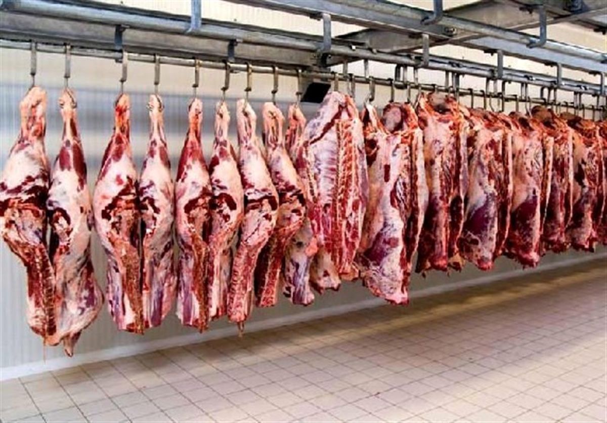 واردکنندگان عمداً ۱۷ هزار تن گوشت را دپو کردند