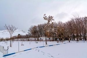 برف زمستانی در چشمه‌علی دامغان +تصاویر