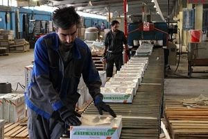 یک واحد تولید کاشی در میبد افتتاح شد