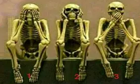 تست هوش اسکلت ها