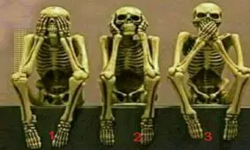 تست هوش اسکلت ها