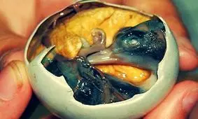 عجیب ترین غذا در فیلیپین بنام بالوت balut