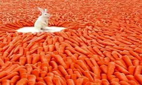 نمونه سوالات برای مصاحبه استخدامی!