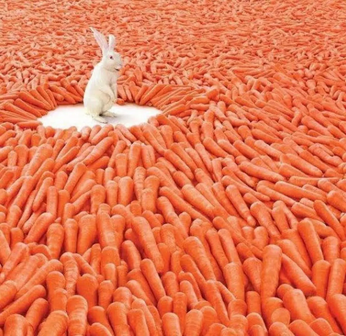 نمونه سوالات برای مصاحبه استخدامی!
