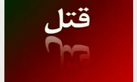 سارق مسلح یک دانشجو را به قتل رساند