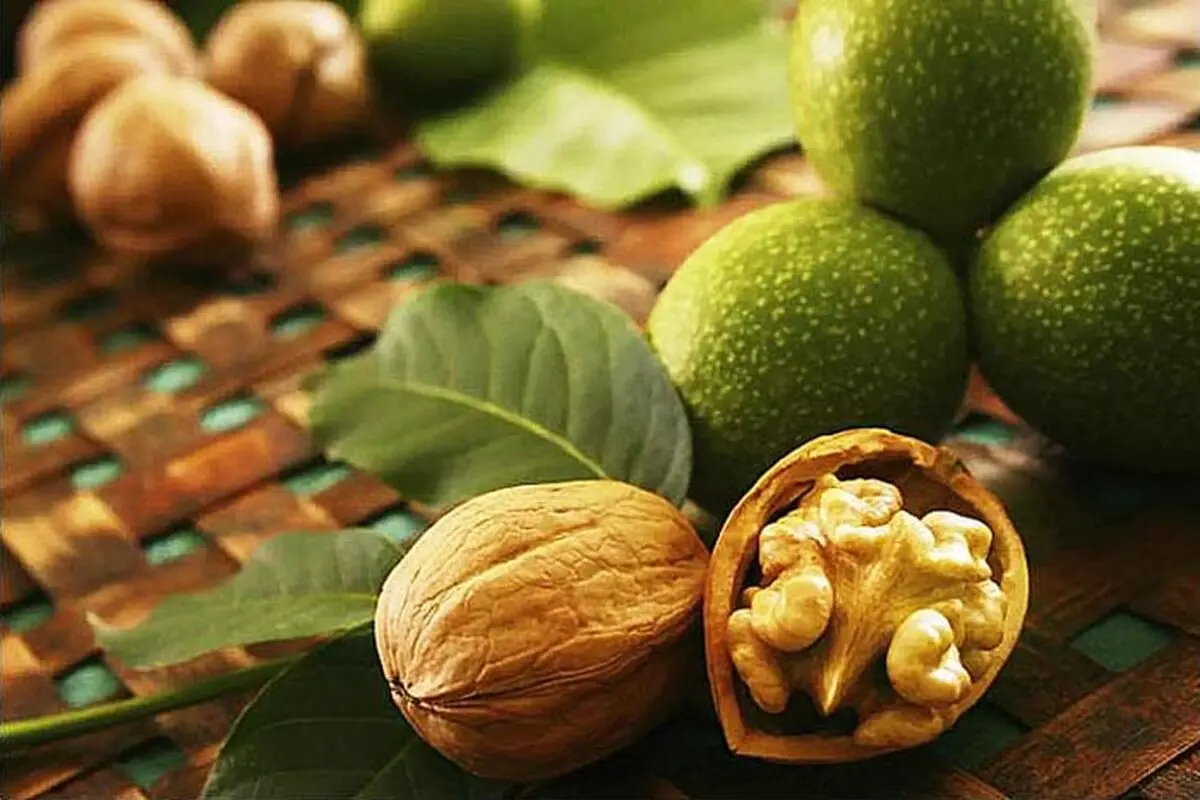 روش خشک کردن گردو سبز