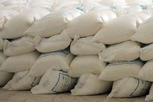 1.5 تن آرد قاچاق در البرز کشف شد