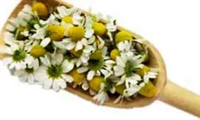 گلی که دشمن استرس است