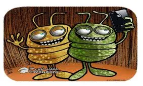 سلفی نگیرید! شپش میگیرید!