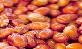 خواص بی نظیر سنجد