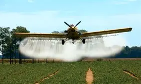 ۱۰۰۰ هکتار اراضی کشاورزی استان بوشهر علیه هجوم ملخ‌های صحرایی کانون‌کوبی شدند