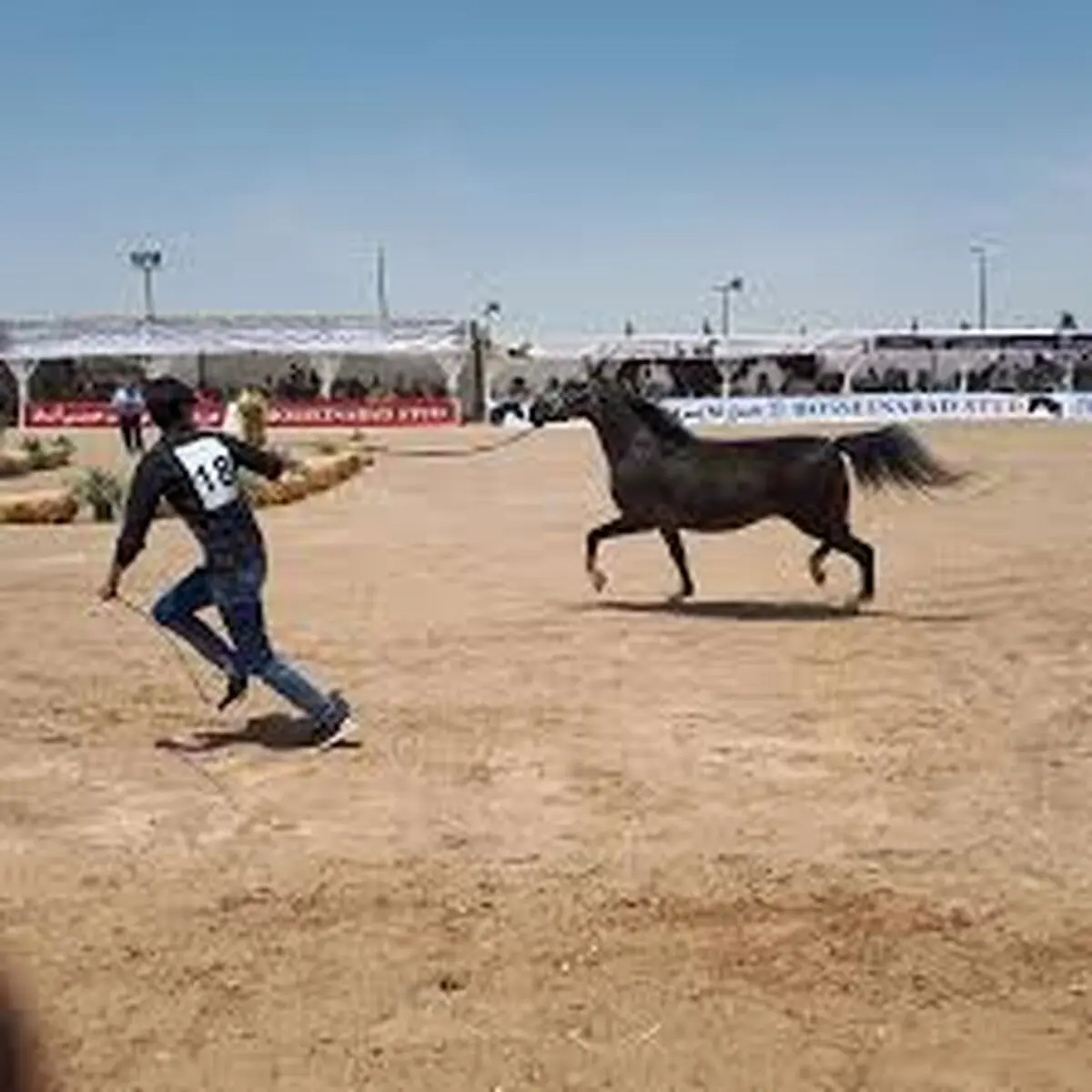 حادثه در پیست اسب سواری گناباد + فیلم