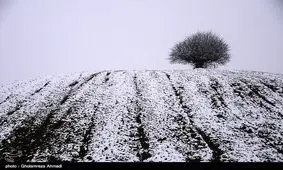 سیستم بارشی عصر امروز از اصفهان خارج می‌شود/ بارش ۲۰ سانتی‌متری برف در فریدون‌شهر