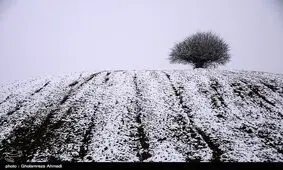 سیستم بارشی عصر امروز از اصفهان خارج می‌شود/ بارش ۲۰ سانتی‌متری برف در فریدون‌شهر