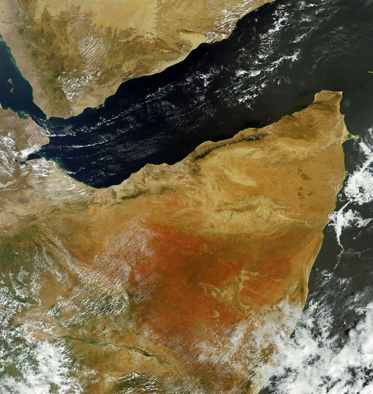 دولتهای عرب خلیج فارس چه از جان شاخ آفریقا و بنادرش می خواهند؟