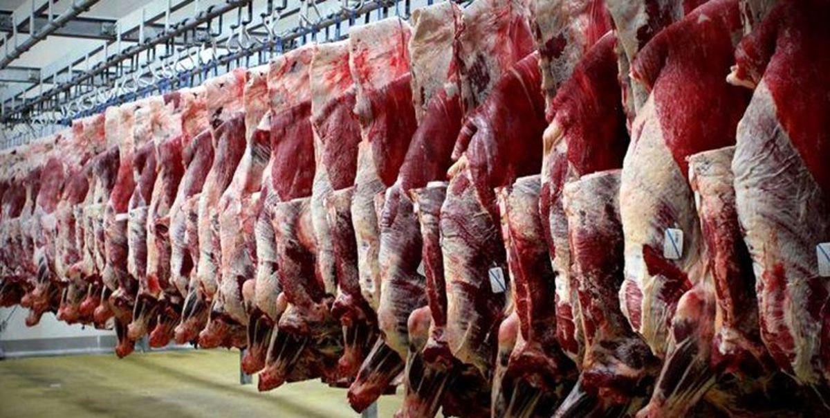 روش جدید توزیع گوشت تنظیم بازار امروز ابلاغ میشود