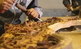 ۱۰ شهر ایران در جهان ثبت شده است