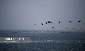 سیلاب‌ به هورالعظیم جان دوباره گرفت