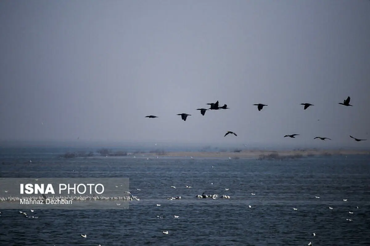 سیلاب‌ به هورالعظیم جان دوباره گرفت