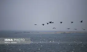 سیلاب‌ به هورالعظیم جان دوباره گرفت