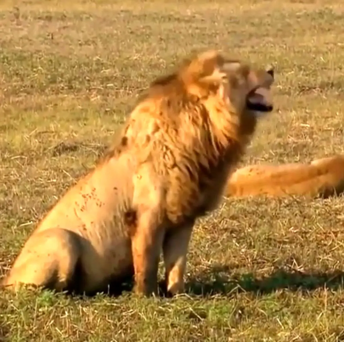 صبح را با خنده آغاز کنید