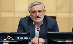 قاسم میرزایی نیکو :عدم کفایت رئیس جمهوری اقدامی نخ نما و تکراری/ استخر فرح یک توهم است