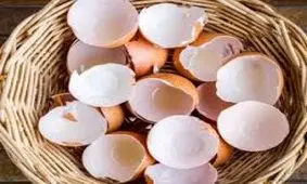 تضمین سلامت مو با این گزینه های غذایی