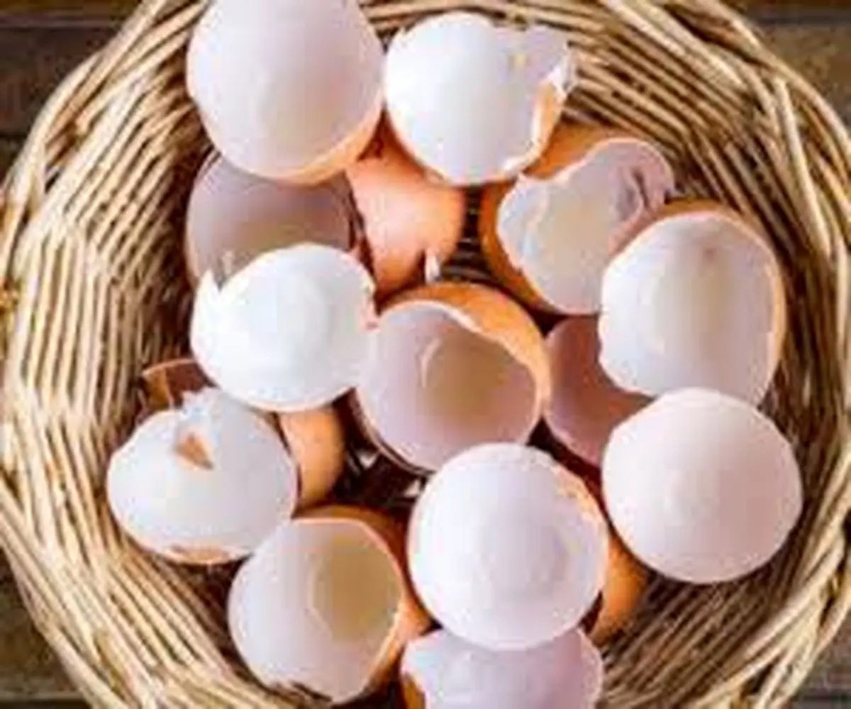 تضمین سلامت مو با این گزینه های غذایی