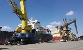 ورود محموله کنجاله سویا، ذرت و جو برای تنظیم نهاده های دامی