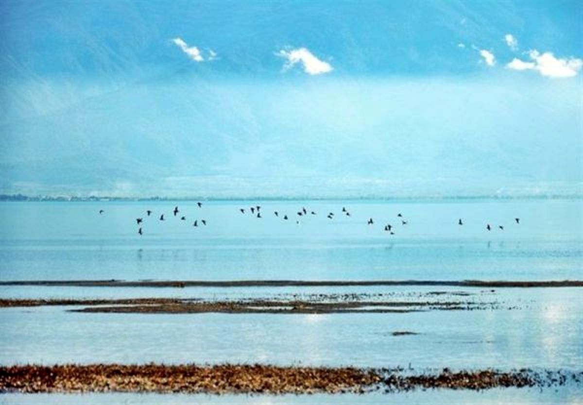 سفر به تنها جزیره دریای خزر/ حقایقی از آشوراده گلستان