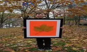 عکس های بزرگترین برگ های دنیا!