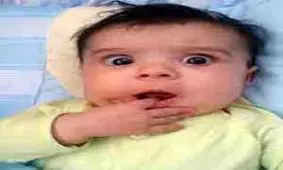 نوزادانی که مادرشان را می خورند!!