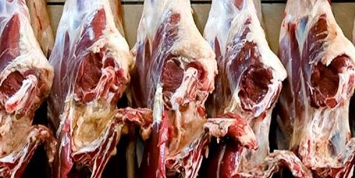 واردات ۱۳۳ هزار تن گوشت قرمز تا ۱۲ بهمن امسال/ تولید گوشت در داخل کاهش نداشته است
