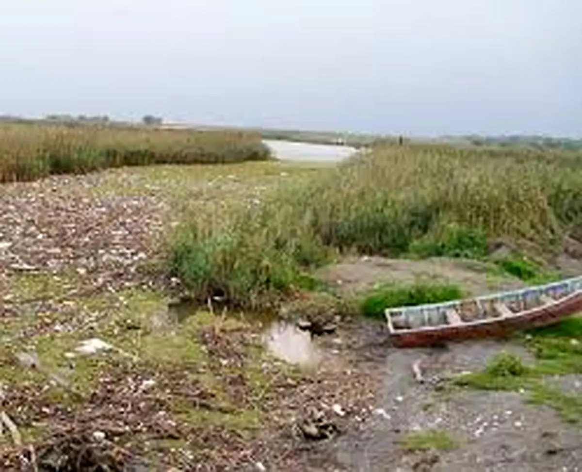 تالاب انزلی در لیست سیاه/ فیلم