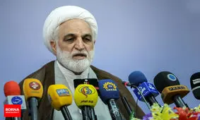 معرفی اسامی برخی از متهمین پرونده‌های دادگاه‌های ویژه اقتصادی