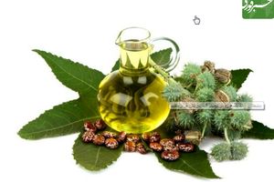 دشمنان سنگ کلیه را در لیست غذایی تان قرار دهید
