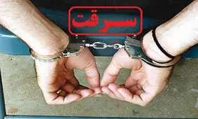 صوت/ سرقت ۲۵ میلیارد تومانی از خانه‌ای در سعادت آباد!