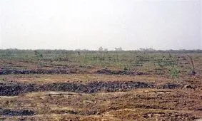 نیروهای یگان حفاظت منابع طبیعی با عاملان زمین‌خواری با قاطعیت برخورد می‌کند