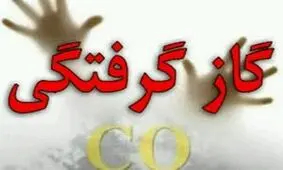 ۲ مصدوم حادثه گازگرفتگی در اردبیل راهی بیمارستان شد