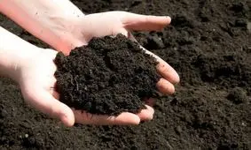 کشف ۵۰ تن کود کشاورزی خارج از شبکه توزیع در استان البرز