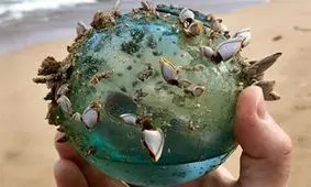 عجیب ترین اشیاء پیدا شده توسط مردم (عکس)