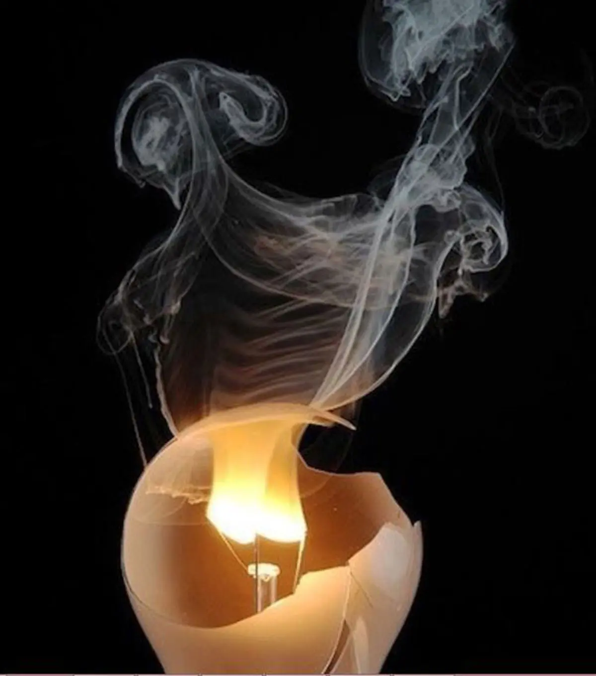 این عکس های خارق العاده فتوشاپ نیست