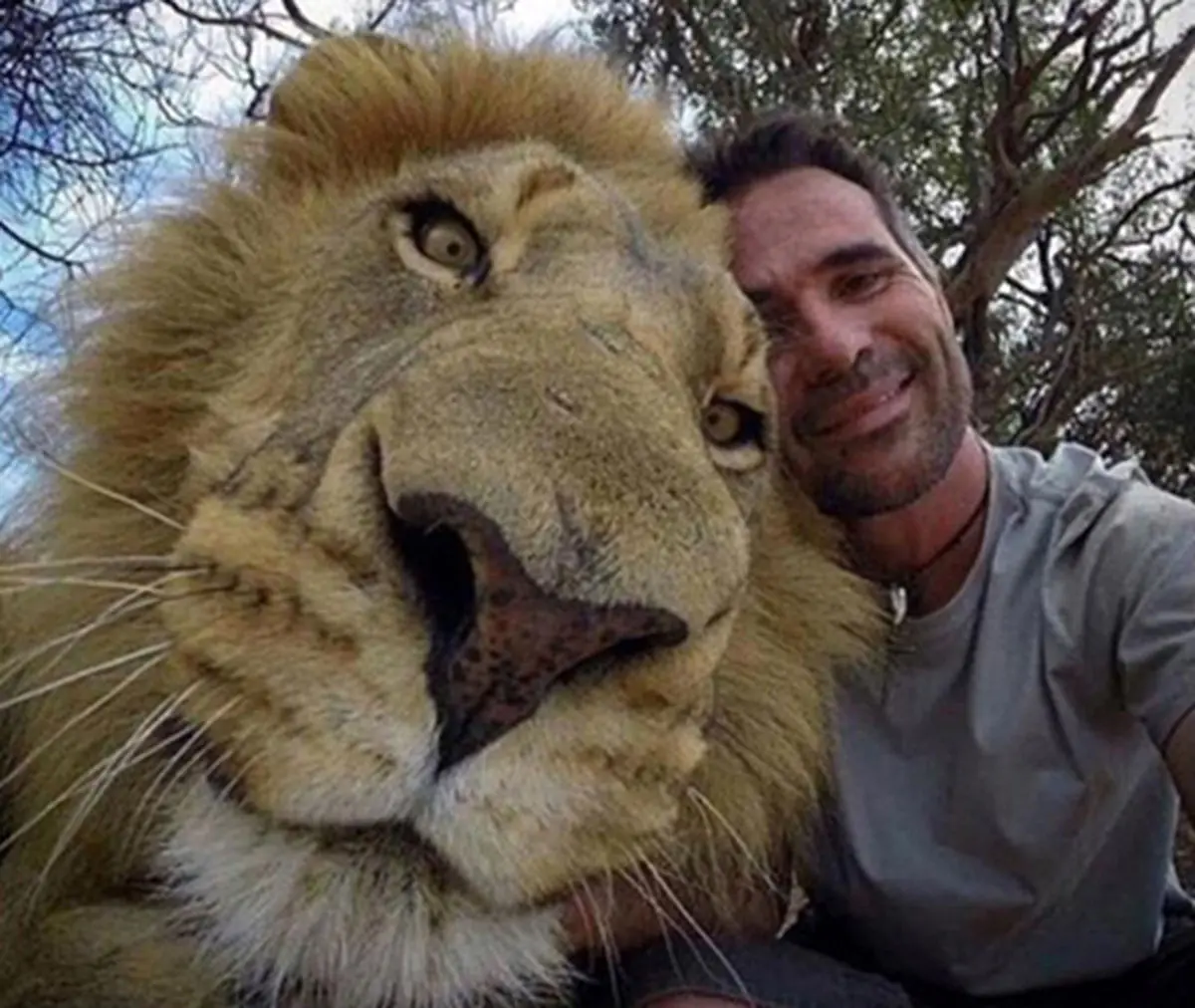 رابطه باورنکردنی این حیوانات خطرناک با انسان (عکس)