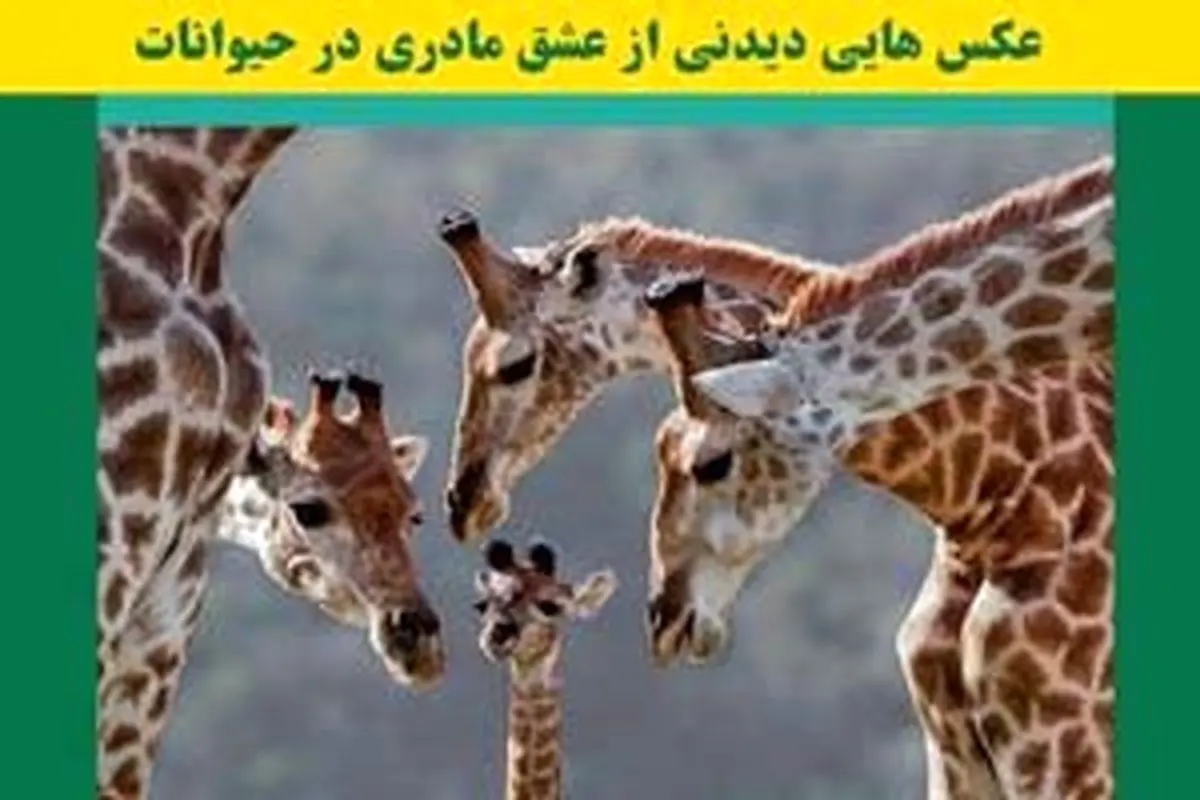 عکس هایی دیدنی از محبت مادری بین حیوانات