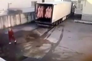 فیلم/ حادثه برای تریلی حامل گوشت