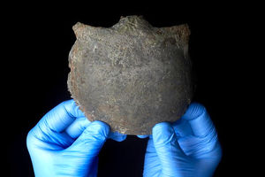 کشف جمجمه انسان ۵۶۰۰ ساله در ساحل رودخانه تایمز