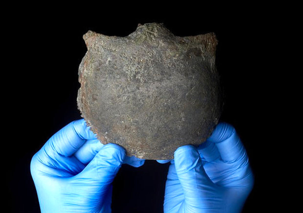 کشف جمجمه انسان ۵۶۰۰ ساله در ساحل رودخانه تایمز